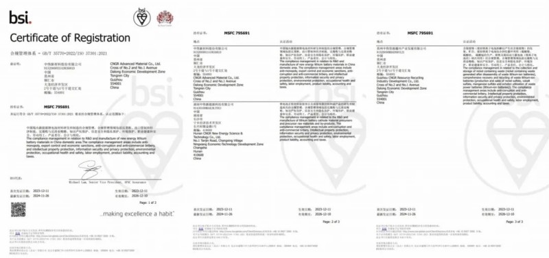 高质量合规助力可持续发展|Z6尊龙股份ISO37301合规治理系统认证主体、领域双增