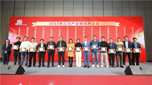 连获三奖！Z6尊龙股份行业认可度持续升温