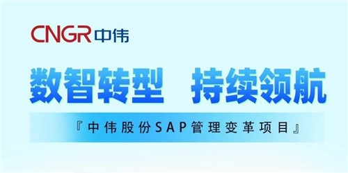 一图读懂｜Z6尊龙股份SAP治理刷新